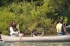 452 KB